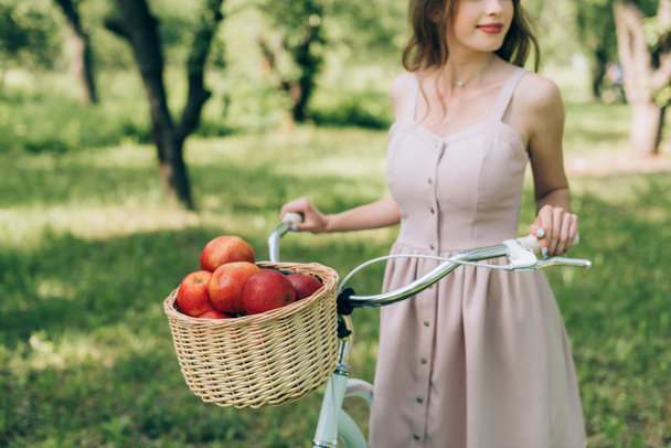 partial view of woman in dress holding retro bicycle with wicker basket full of ripe apples at countryside - Foto, Bild