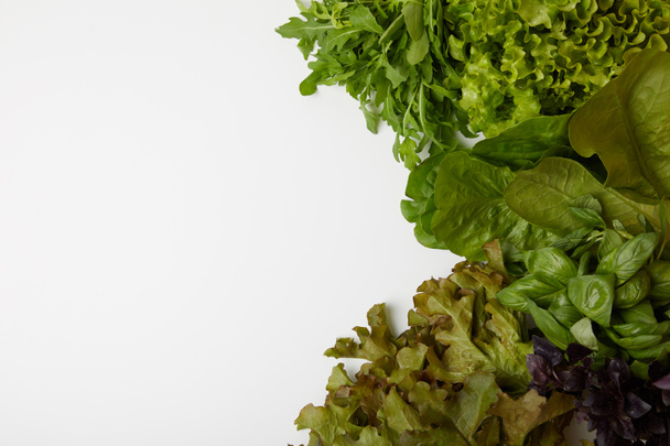 vista superior de las verduras frescas de varias hojas en la superficie blanca
 - Foto, Imagen
