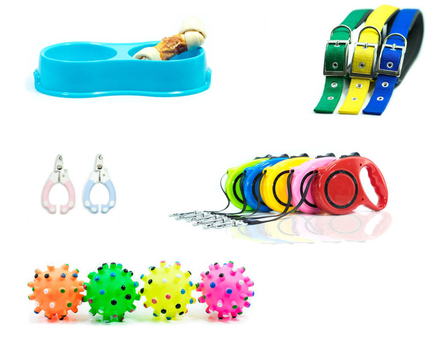 Pet accessories on isolated white.  Bowls, Bone, Collars, Automatic Leash, Nail scissors and rubber toys. - Photo, Image