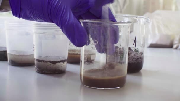 Ręce naukowca mieszania próbek gleby - Materiał filmowy, wideo