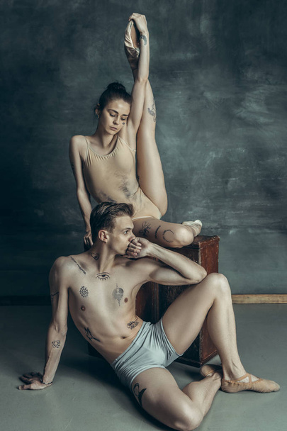 The young modern ballet dancers posing on gray studio background - 写真・画像
