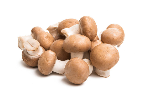 royal mushrooms isolated on white background - Photo, Image