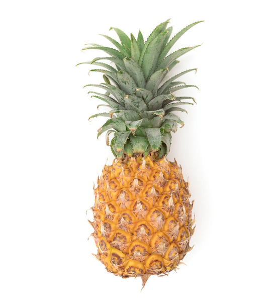 Pineapple fruit ripe on white - Photo, Image