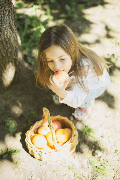 little girl with a basket of fruit - Fotó, kép