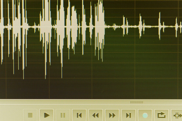 Ses ses dalgası stüdyo bilgisayar programı ekran gösterimleri ses dublaj vokal kaydı gelen ekranda düzenleme. - Fotoğraf, Görsel