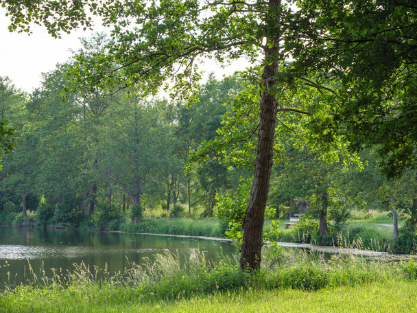 kesällä järvellä Saksassa
 - Valokuva, kuva