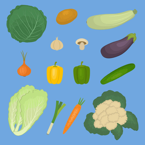 Vihanneksia, eristetty sinisellä pohjalla. Kuvassa on peruna, kesäkurpitsa, munakoiso, kaali, kurkku, sipuli, kiinalainen kaali, sieni, porkkana, paprika. Vektoriesimerkki
. - Vektori, kuva