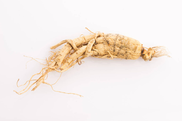 Extract of ginseng root - Photo, Image
