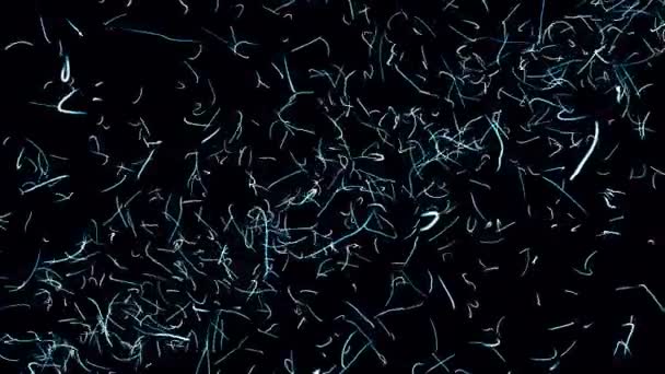 Spazio stilizzato di animazione astratta con segmenti di curva blu in movimento su uno sfondo scuro rendering del computer
 - Filmati, video