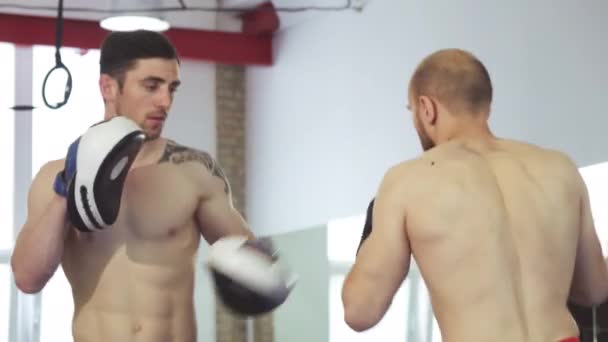 Pohledný svalnatý mma trenér pracuje s mužský bojovník - Záběry, video