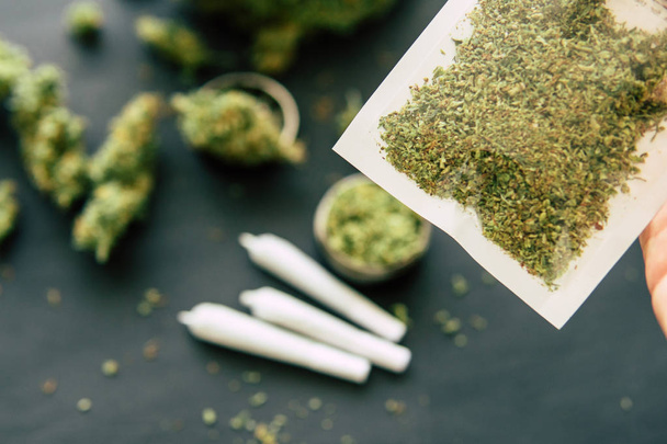 cerrar hierba triturada Maleza común Macro de marihuana brotes de cannabis y en una mesa negra
 - Foto, Imagen