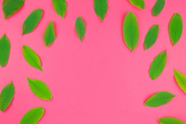 Creative flat lay top view pattern with fresh green leaves on bright pink background with copy space in minimal pop art style, template for text - Foto, Imagem