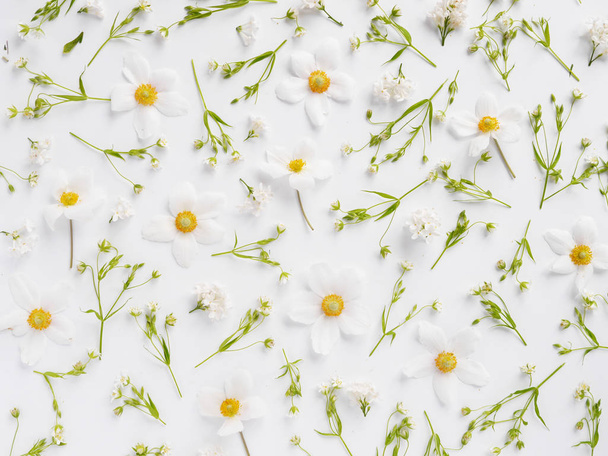 Floral composition with white wildflowers and jasmine on white background  - Valokuva, kuva
