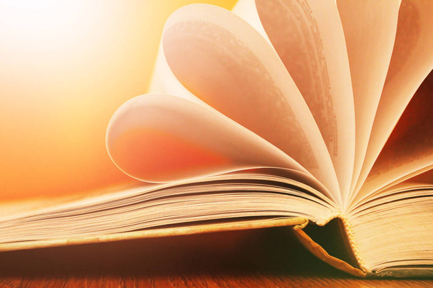 Ανοιχτό βιβλίο, όμορφες σελίδες τόσο κοντά, μακροεντολής - Φωτογραφία, εικόνα
