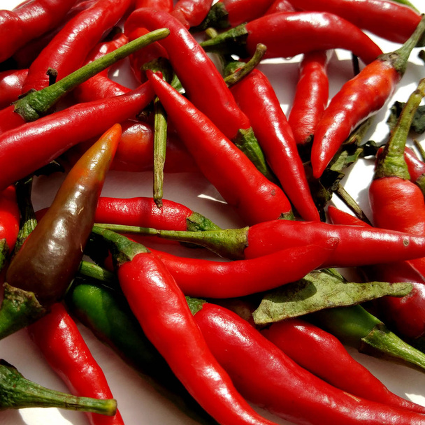 Red chili on white background - Photo, Image
