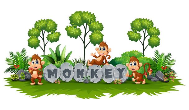 Vektorillustration des Affen spielt im Garten - Vektor, Bild