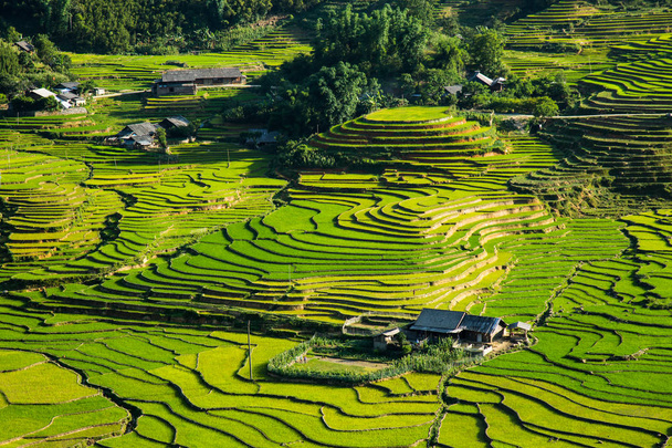 Άποψη του moutain με ρύζι βεράντα στο Sapa Βιετνάμ. - Φωτογραφία, εικόνα