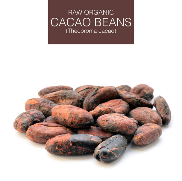 rohe Kakaobohnen auf weißem Hintergrund - Foto, Bild