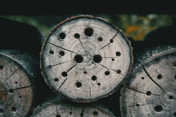 абстрактна текстура з отворами в дерев'яному пні
 - Фото, зображення