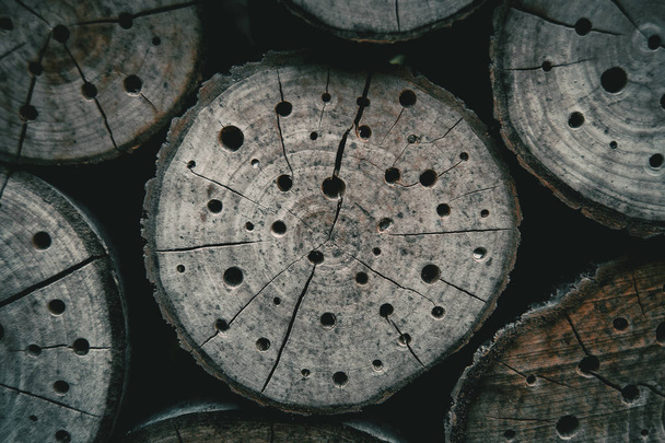 木の切り株の穴と抽象的なテクスチャ - 写真・画像