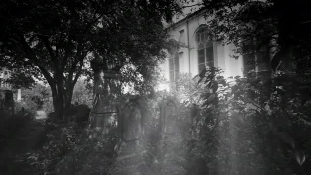 Kościół unitariański ze starym cmentarzem, Charleston, Karolina Południowa, Usa, 2016 lub do wyczerpania - Materiał filmowy, wideo