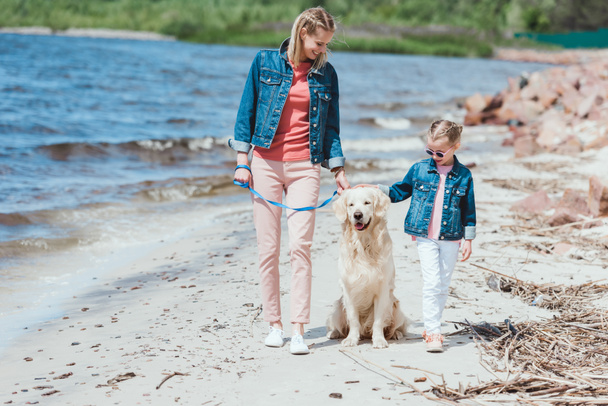family walking with golden retriever dog on sea shore - Foto, afbeelding