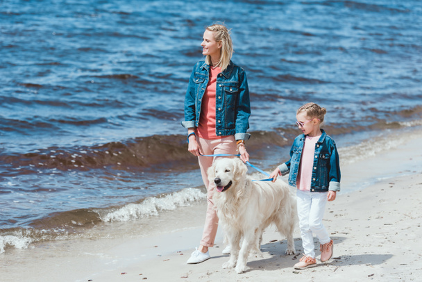 beautiful family with golden retriever dog on walk near the sea   - Fotografie, Obrázek