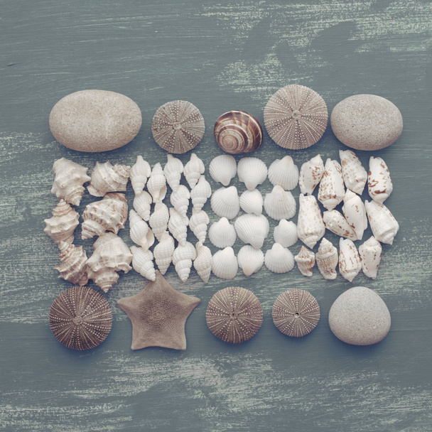 composição de um grupo de conchas pedras seixos estrela ouriço fundo de madeira velho espaço de cópia desgastado cinza. Vista superior flat lay
 - Foto, Imagem
