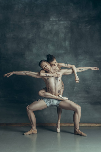 The young modern ballet dancers posing on gray studio background - Photo, Image