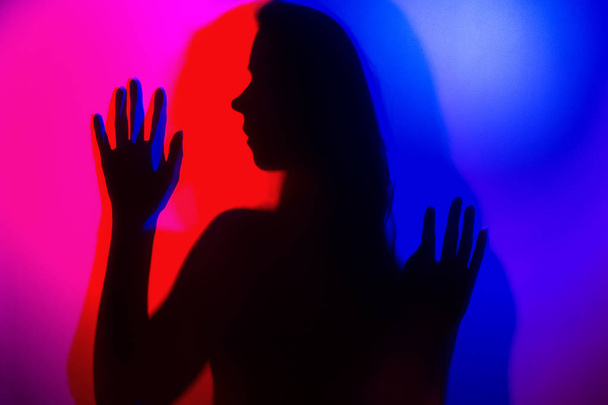 Silhouette of a girl in blue and red colour light wearing lingerie shot through matte glass - Foto, immagini