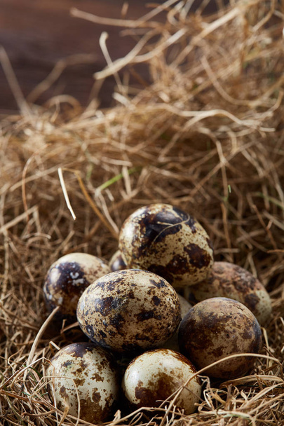 Conceptual still-life with quail eggs in hay nest, close up, selective focus - Фото, изображение