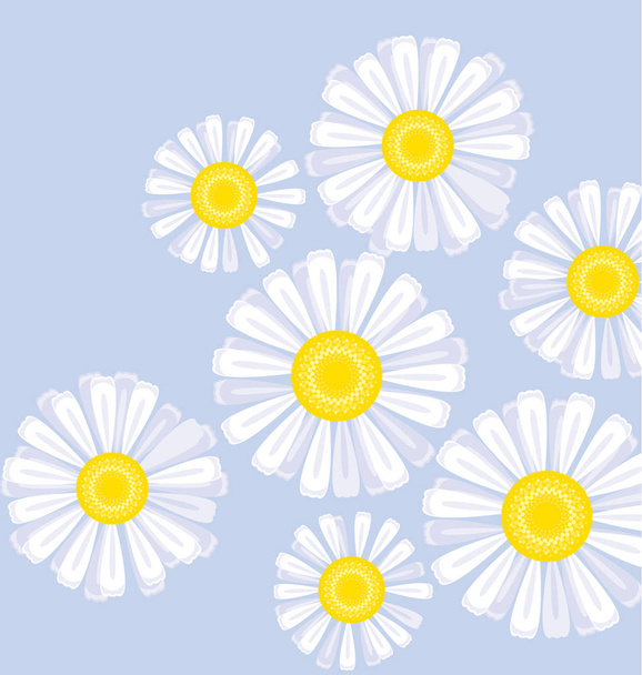 Daisy élément de conception de fleur
  - Vecteur, image