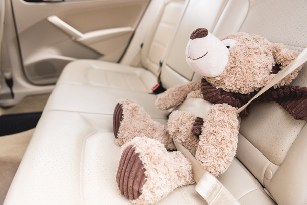 close up view of teddy bear with fastened seat belt in car - Photo, Image