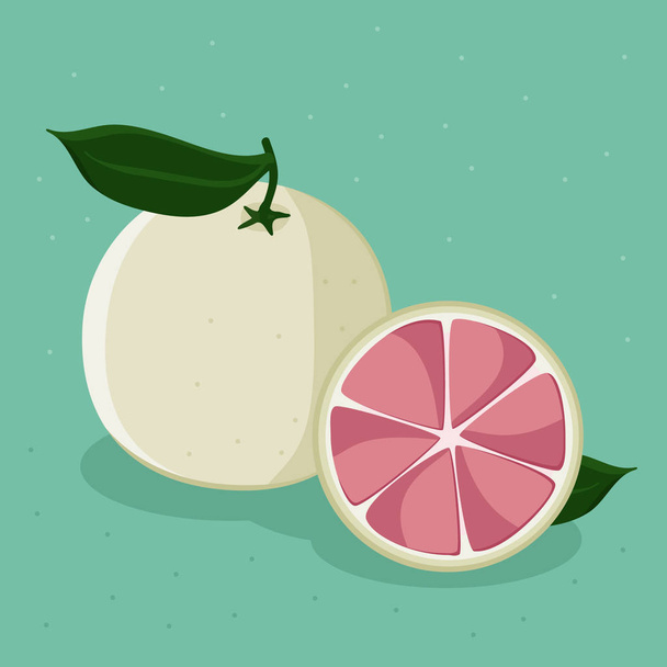 Розовый грейпфрут на бирюзовом фоне - векторная иллюстрация
 - Вектор,изображение