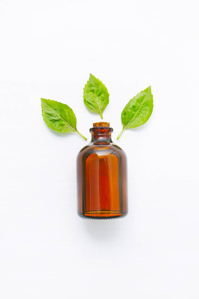 Basil essential oil with Basil leaves on white  blackground. - Photo, Image