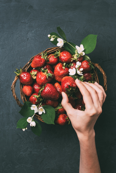 cropped shot of human hand and fresh ripe strawberries in basket - Foto, Bild