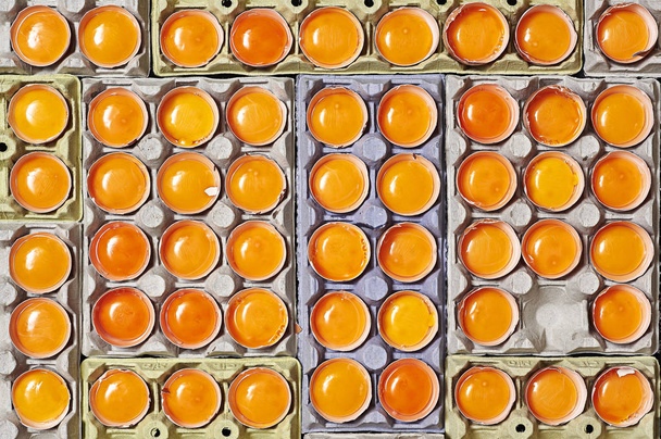 Mnoho oranžové žloutky a unikátní jeden prázdný prostor nad kartony na vejce. - Fotografie, Obrázek