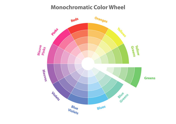 монохроматическое цветовое колесо, теория цветовой схемы, зеленый цвет в доказательствах, векторный изолированный или белый фон
 - Вектор,изображение