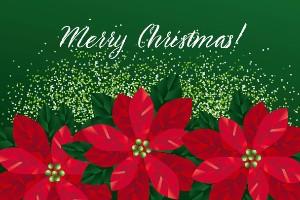 Красные рождественские пуансеттийские цветы
  - Вектор,изображение