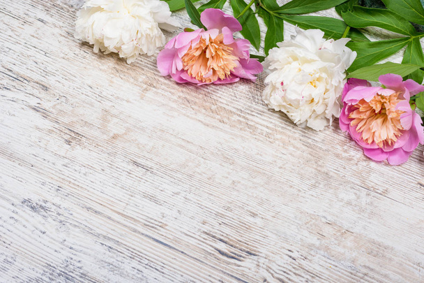 Peônias brancas e rosa com folhas verdes deitadas em cima de um fundo de madeira antigo texturizado, para um outdoor, site, Flatlay, copyspace
 - Foto, Imagem