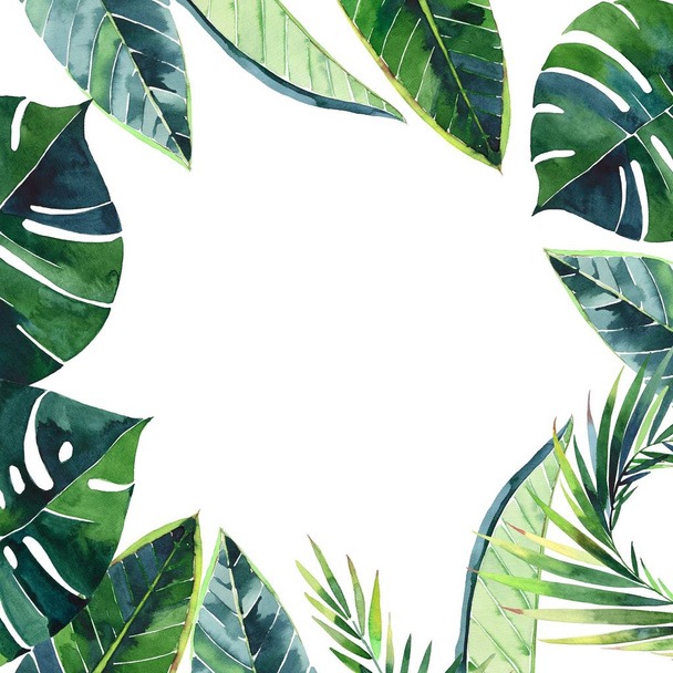 Beautiful green herbal tropical wonderful hawaii floral summer frame of a tropic palm leaves watercolor hand illustration. Perfect for textile, wallpapers, backgrounds - Fotoğraf, Görsel