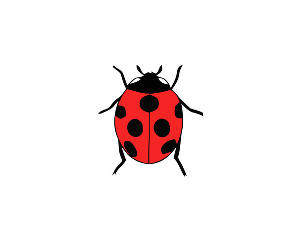 Ladybird on white background. Cute cartoon ladybug icon. - Vector, Image