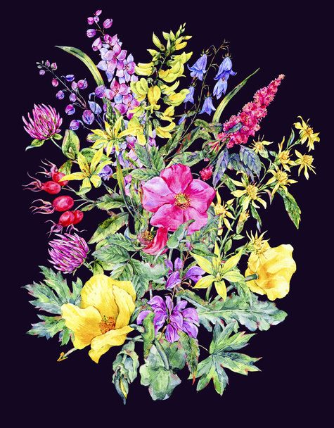 Akvarell nyári gyógyászati virág-kártya, vad virág növény - Fotó, kép