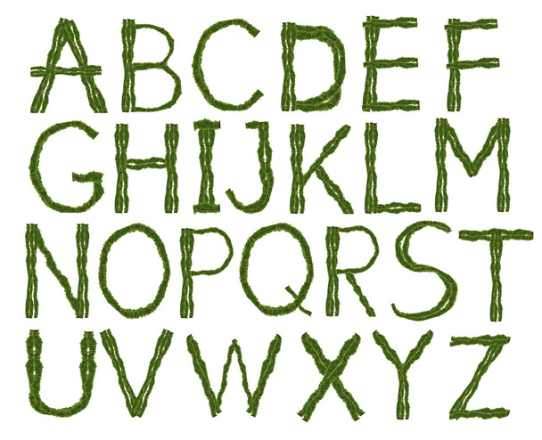 tee English alphabet - Photo, Image