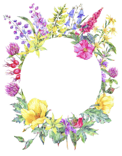 Watercolor summer medicinal floral round frame, Wildflowers plant - Fotografie, Obrázek