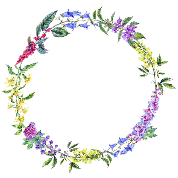 Watercolor summer medicinal floral wreath, Wildflowers plant - Photo, Image