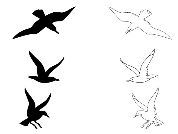 Black silhouette and outline seagulls. Isolated birds for coloring kids' book, decorative illustrations - Vector, Image