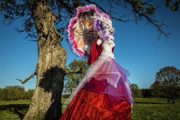 Fairy tale woman on stilts in bright fantasy stylization. Fine art outdoor photo.  - Fotoğraf, Görsel