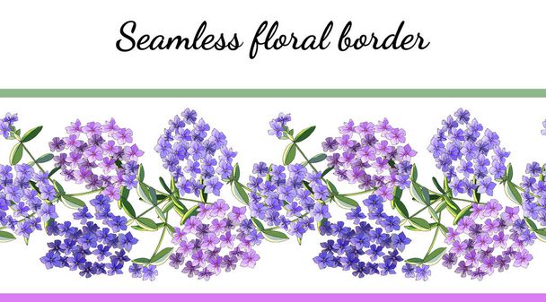Seamless border with phlox flowers isolated on white. Excellent print for greeting cards, clothes, bed linens, fabric, textiles, wallpaper, wrapping paper, gift box. - Vector, Image