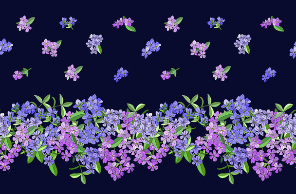 Seamless border with phlox flowers isolated on dark blue. Excellent print for greeting cards, clothes, bed linens, fabric, textiles, wallpaper, wrapping paper, gift box. - Vecteur, image